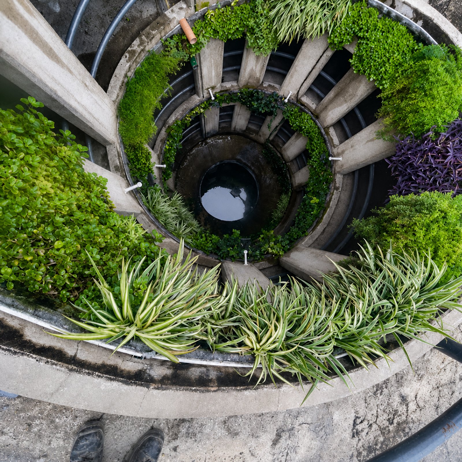 pozo de jardín con escalera de caracol y vegetación — proyecto Parking Oulton :: Córdoba :: Jardín Vertical :: Diseño y construcción STIPA Arte, por STIPA Arte Natural, en Av. Véle